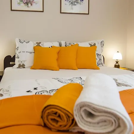 Rose * 베오그라드