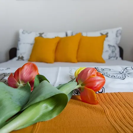 Rose Belgrad
